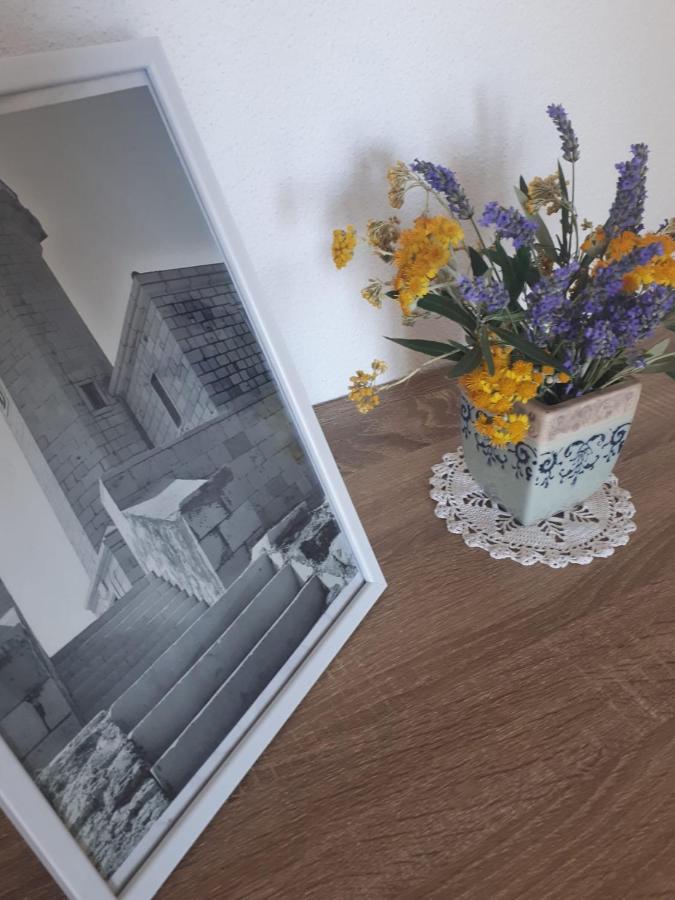 Apartments Starshine & Lighthouse روغوزنيكا المظهر الخارجي الصورة