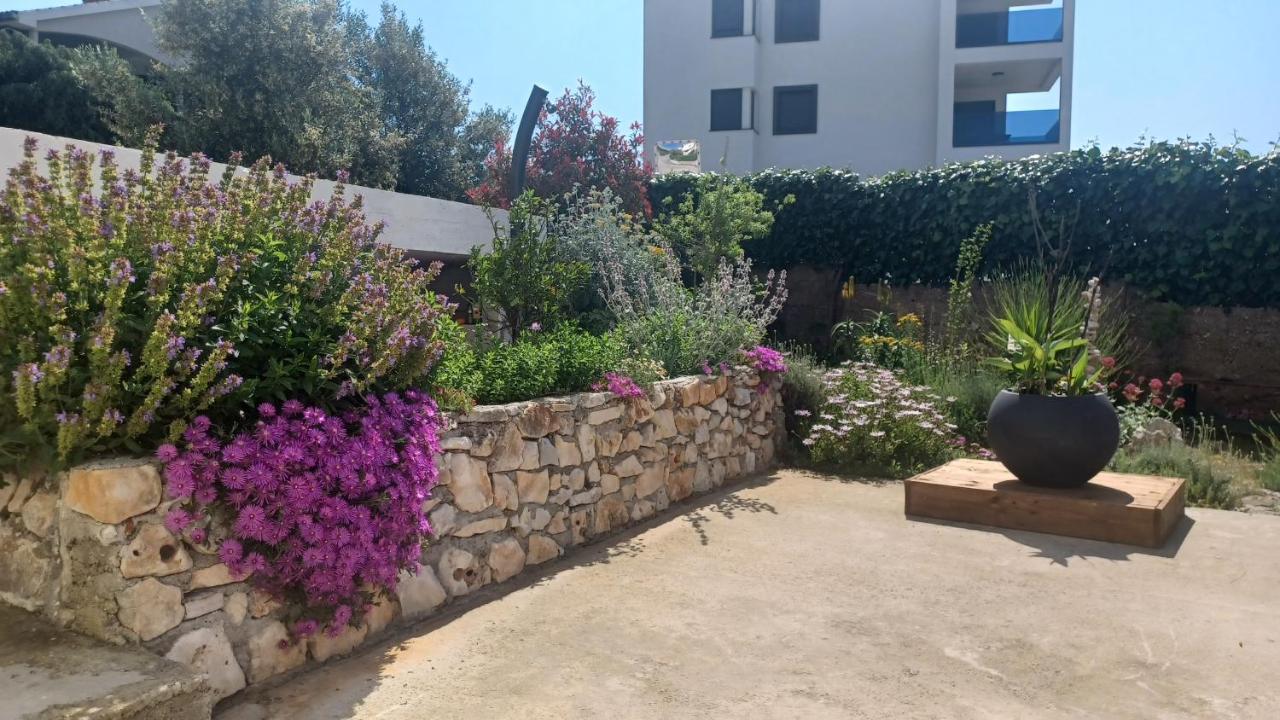Apartments Starshine & Lighthouse روغوزنيكا المظهر الخارجي الصورة