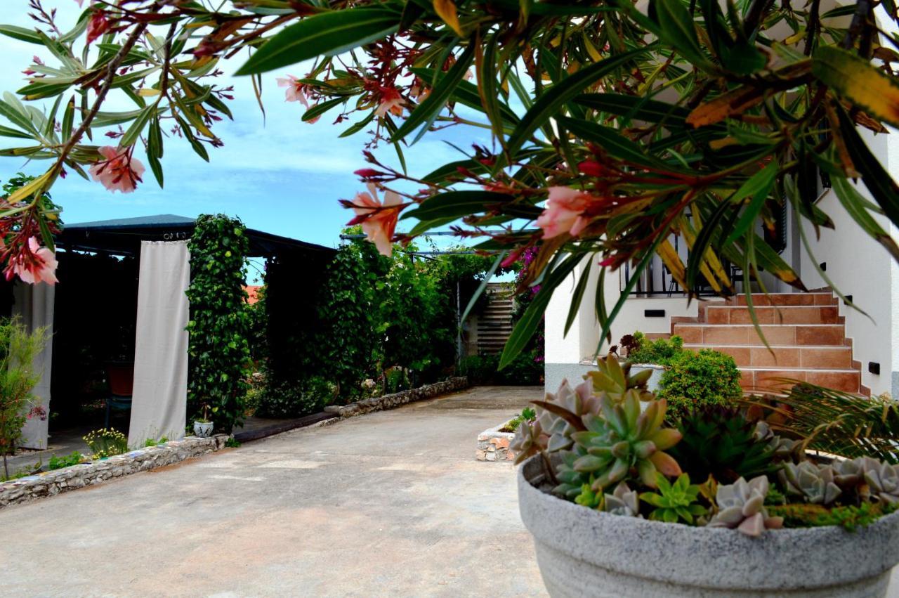 Apartments Starshine & Lighthouse روغوزنيكا المظهر الخارجي الصورة